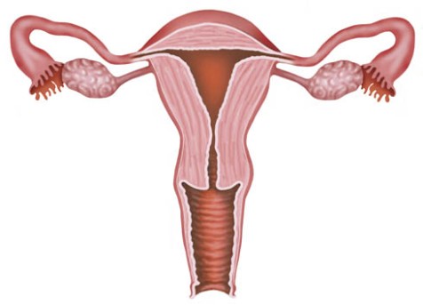 Partial Hysterectomy by OrangeCountySurgeons.org  (2)